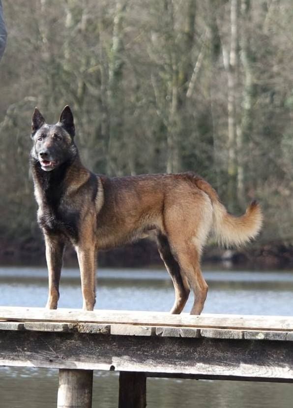 Jetro Du Musher